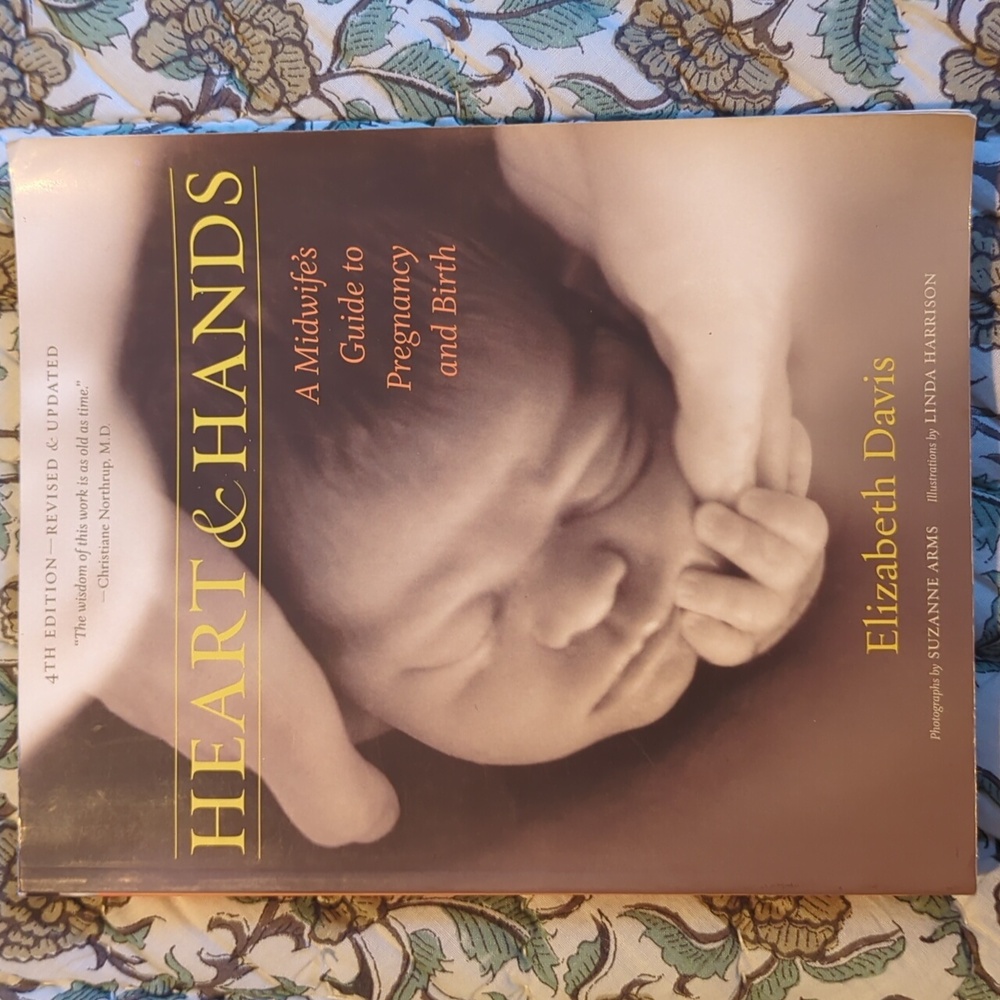 Heart & Hands A Midwife's Guide to Pregnancy and Birth by Elizabeth Davis